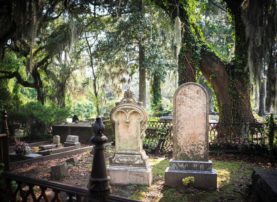 A cemetery with trees and tombstones

AI-generated content may be incorrect.