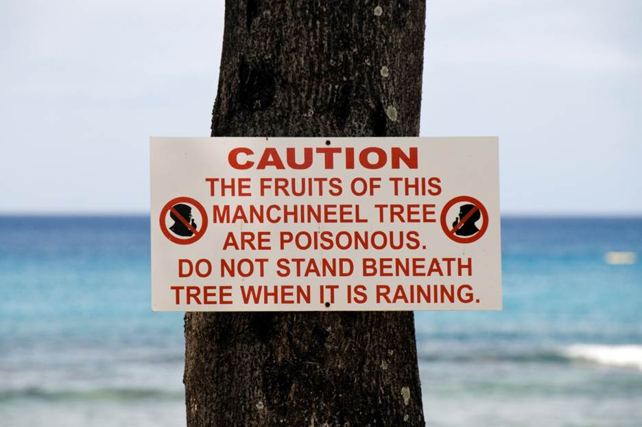 A sign on a tree

AI-generated content may be incorrect.